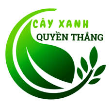CÔNG TY CỔ PHẦN KIẾN TRÚC VÀ CẢNH QUAN CÂY XANH QUYỀN THẮNG
