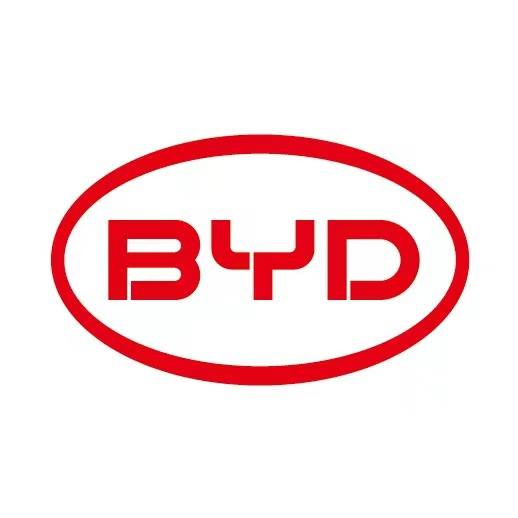 Build Your Dreams (BYD)