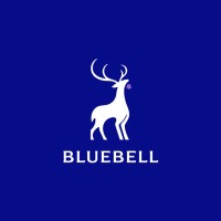 BlueBell Securities