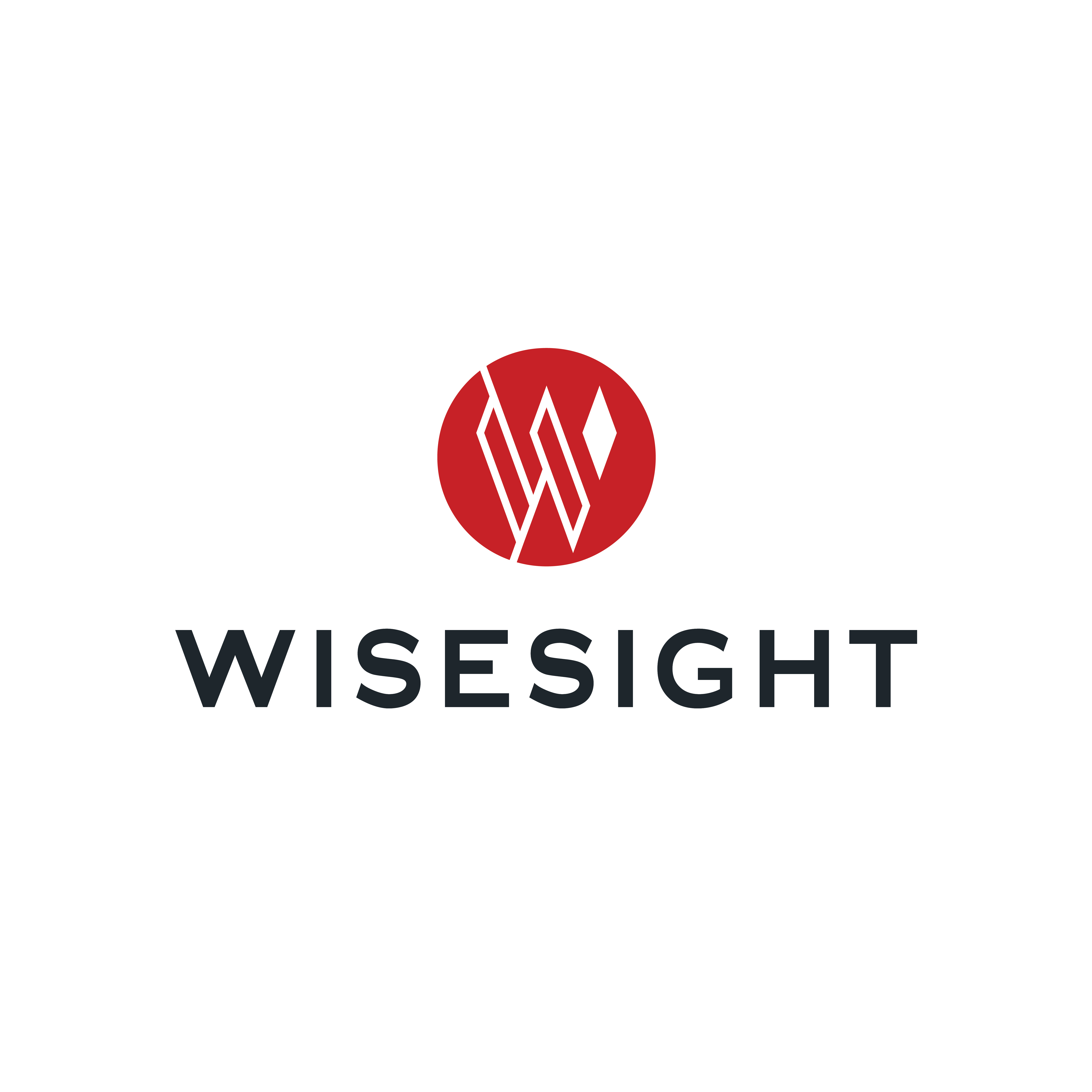 Wisesight logo