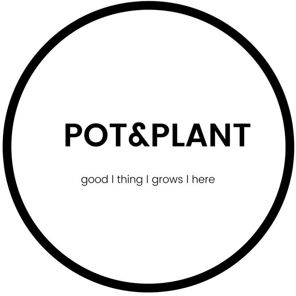 Pot and Plant Bangkok