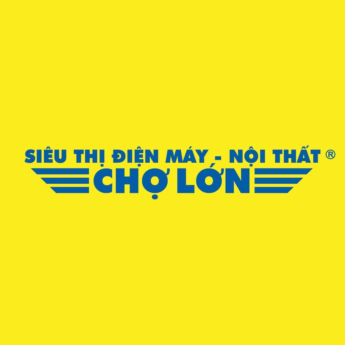 Siêu thị Điện máy Chợ Lớn