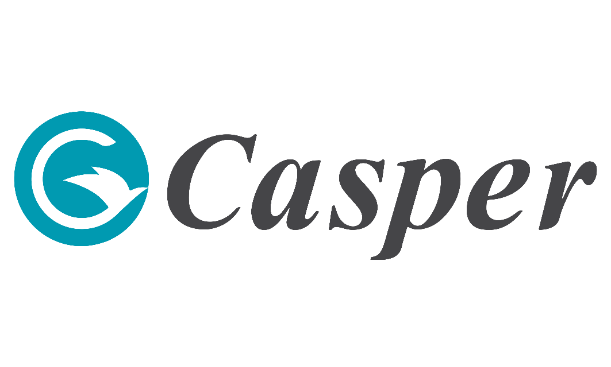 Công ty Cổ phần Casper Việt Nam