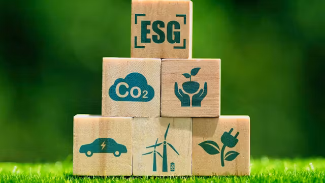 Sustainability for Business: ESG Fundamentals